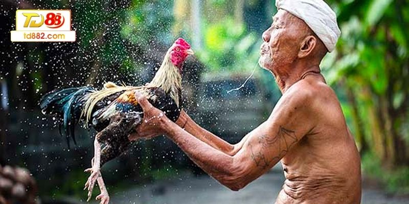 Xác định kèo và thời điểm phù hợp trước khi chơi